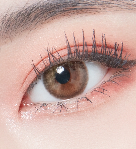 렌즈직구-렌즈고고