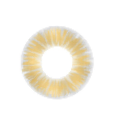 렌즈직구-렌즈고고