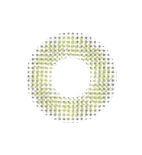 렌즈직구-렌즈고고