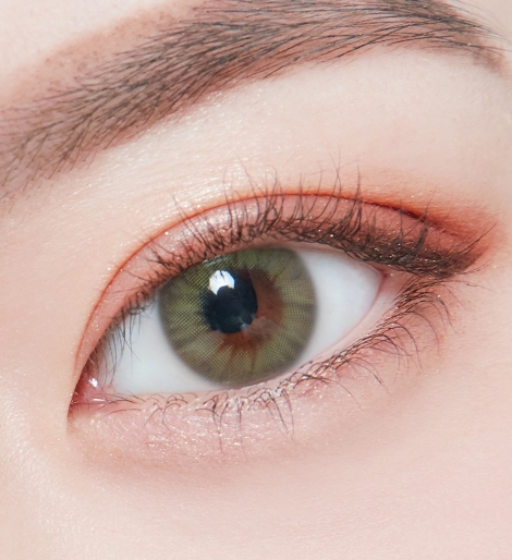 렌즈직구-렌즈고고