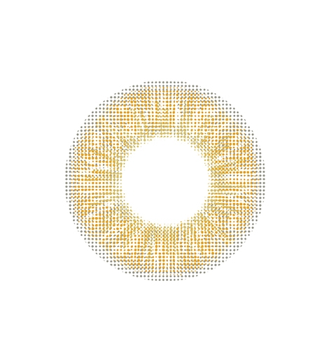 렌즈직구-렌즈고고