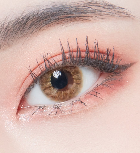 렌즈직구-렌즈고고