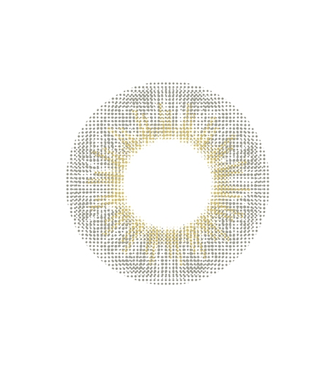 렌즈직구-렌즈고고